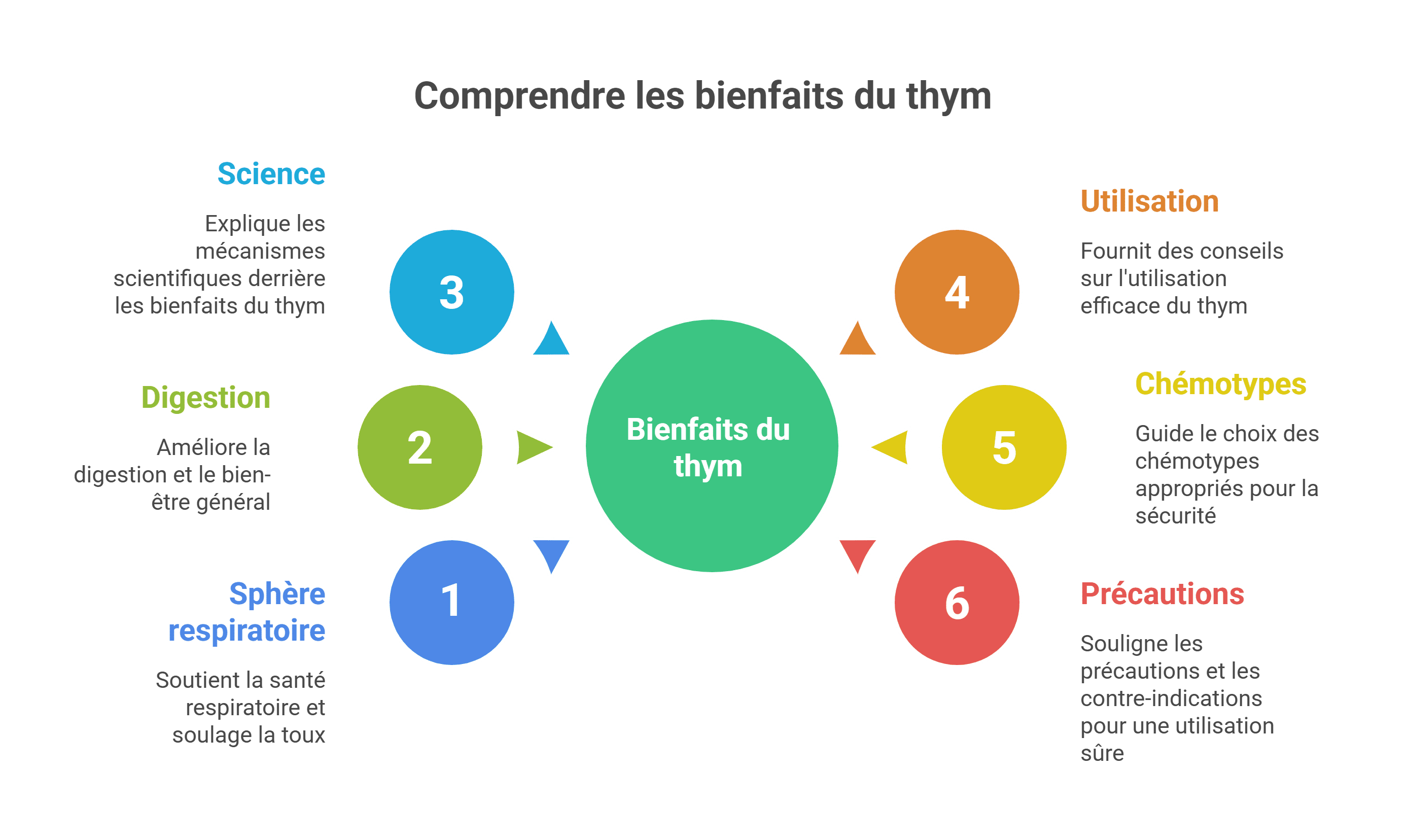 Bienfaits du thym | 9 vertus santé, guide complet [2026]