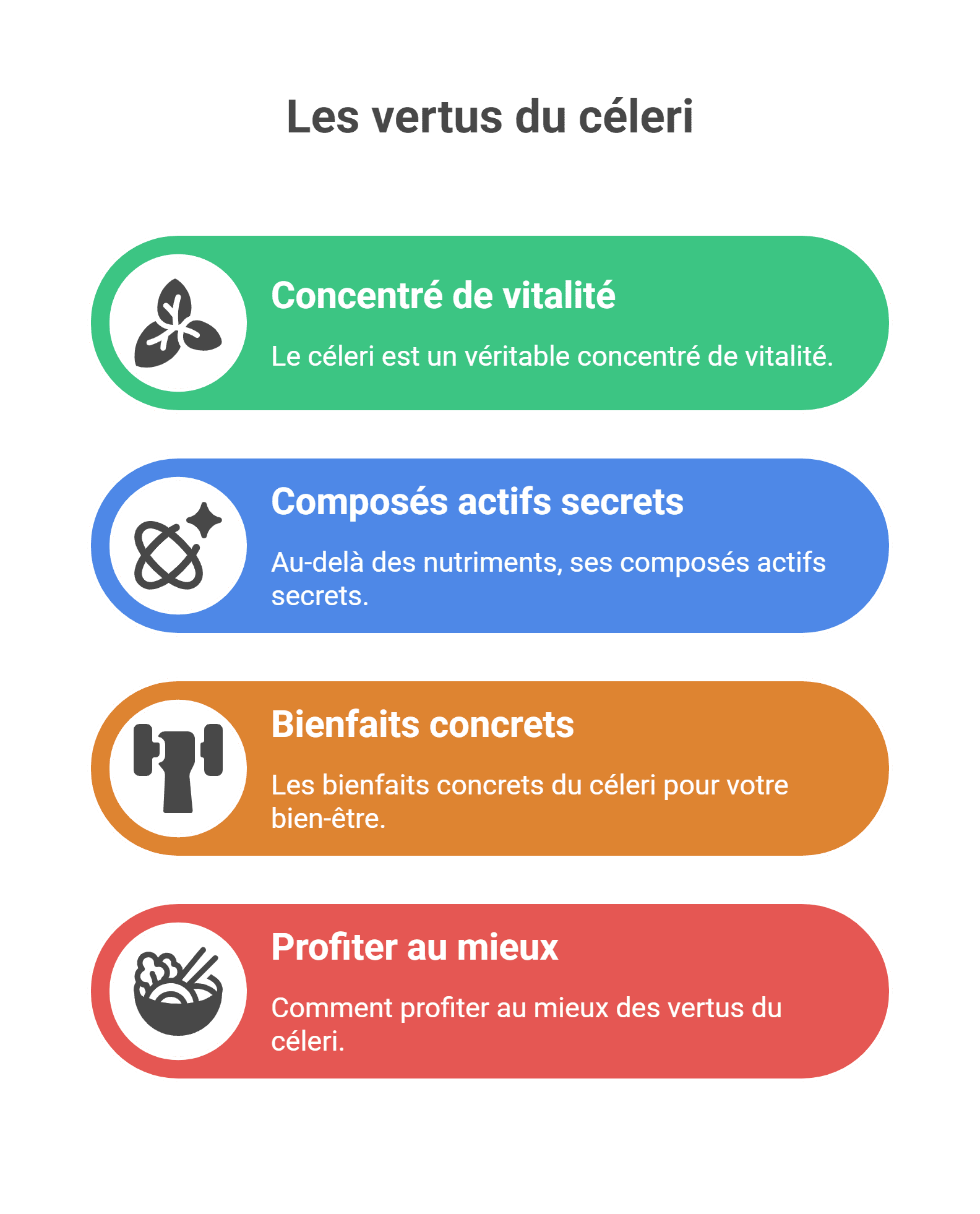 Bienfaits du céleri | Votre allié vitalité & detox