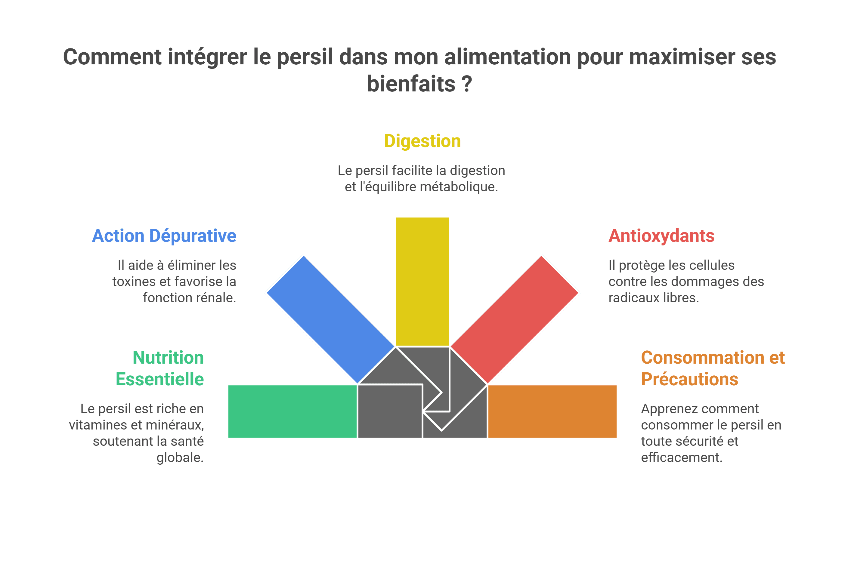 Bienfaits du persil - Avis et conseils santé 2026