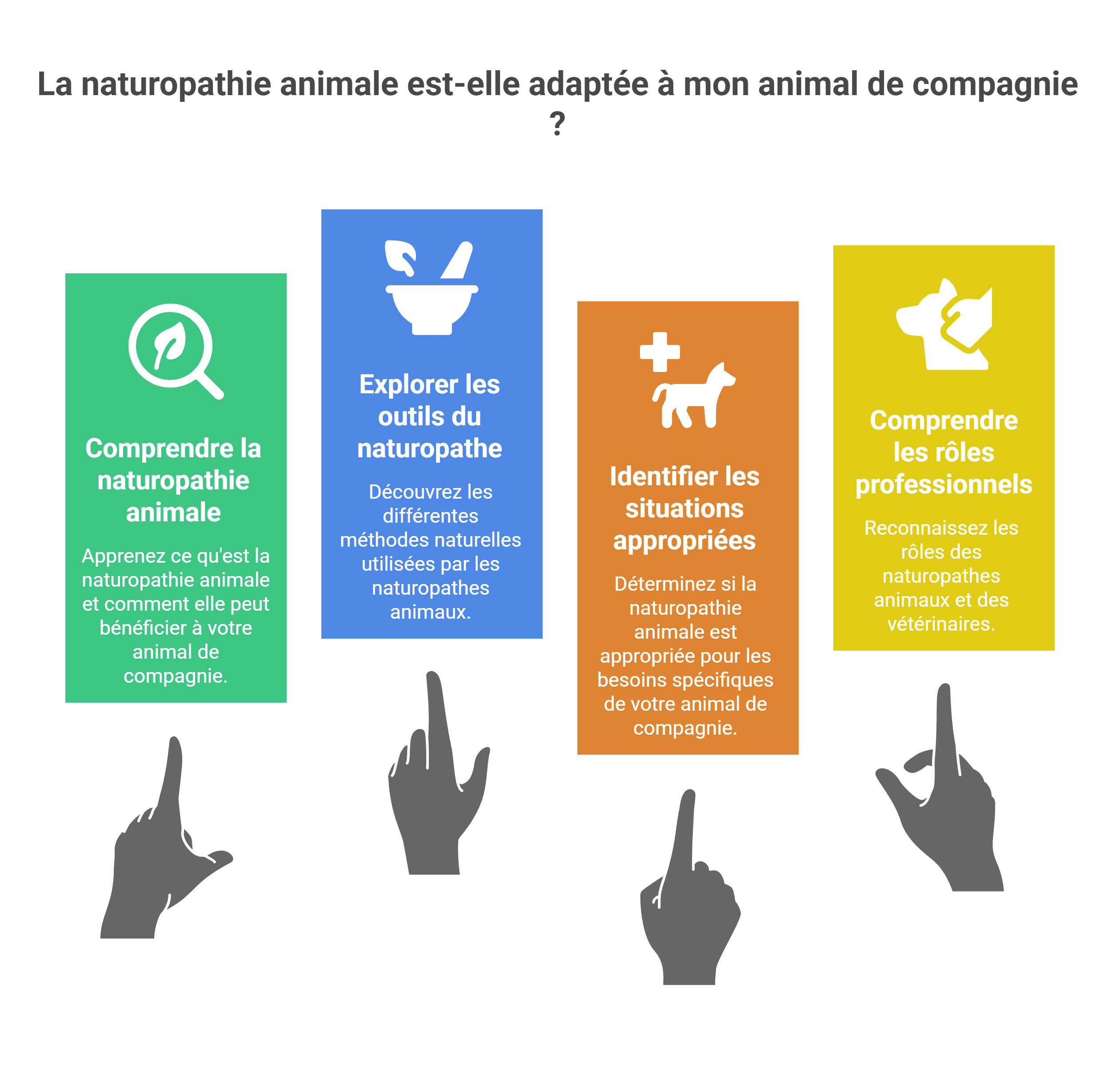 Naturopathie animale | Guide, bienfaits et avis 2026
