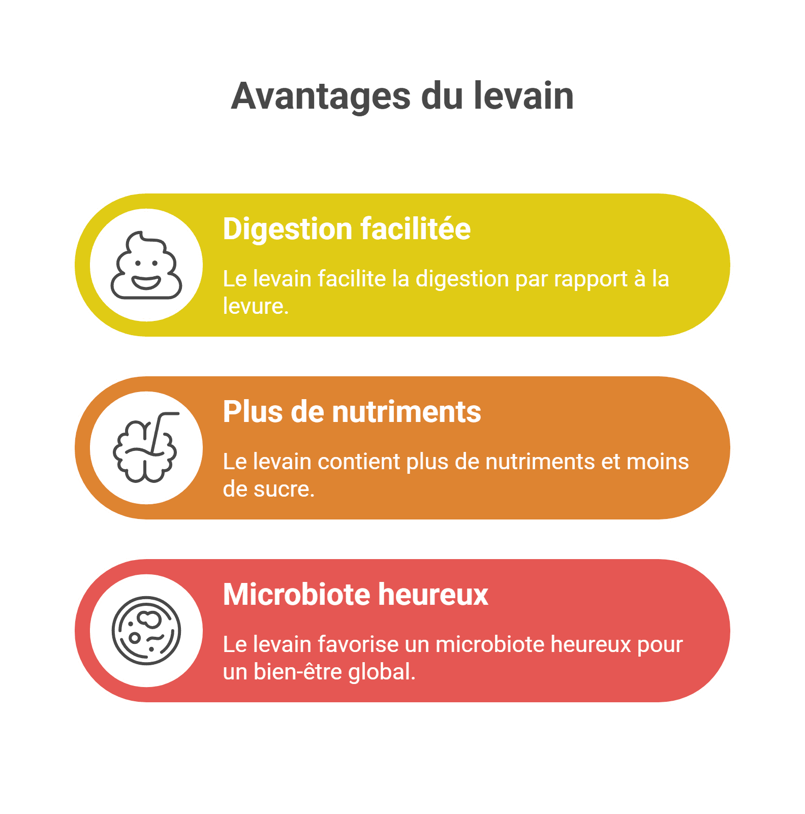 Levain naturel digestion bien-être | Guide santé 2026