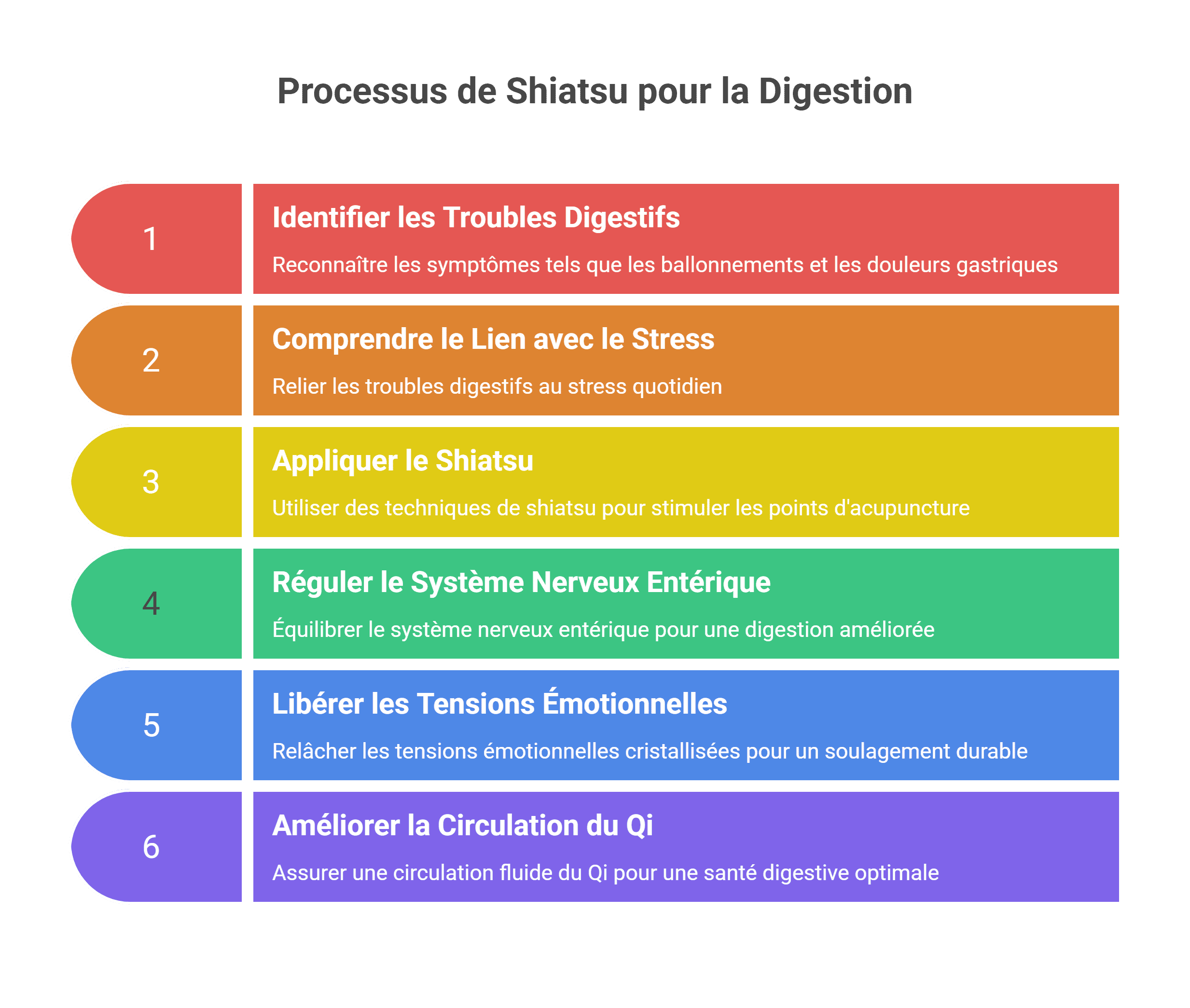 Shiatsu troubles digestifs - Guide pour un ventre léger | 2026